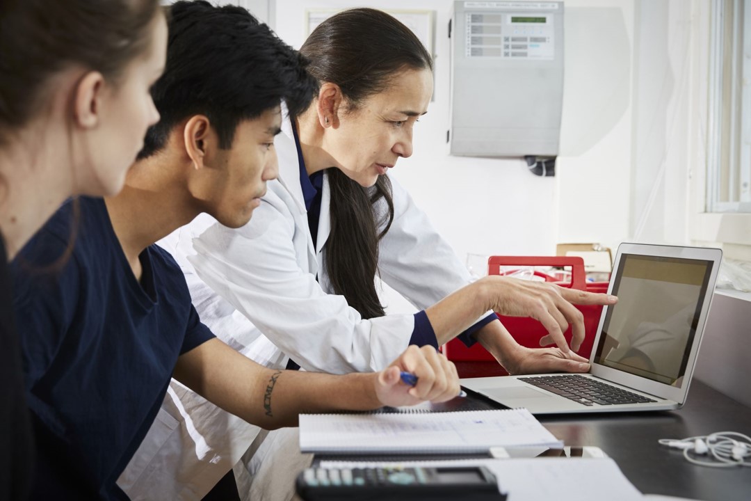 3 people learning with laptops